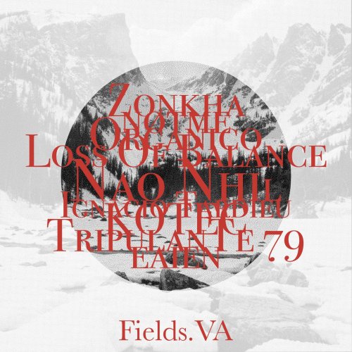 VA - Fields V.A (2025)