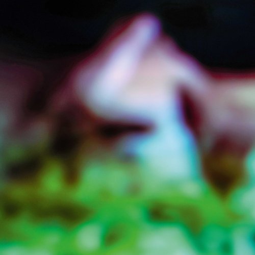 Hair & Treasure - Disc Rot (2025)
