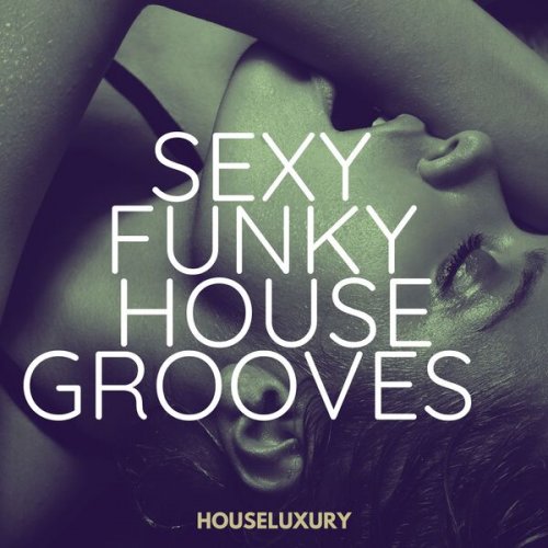 VA - Sexy Funky House Grooves - Houseluxury (2025)