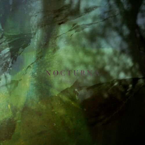 Joachim Spieth & Andrew Thomas - Nocturna (2025)