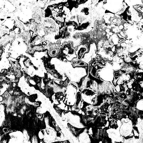 A-Sun Amissa - We Are Not Our Dread (2025)