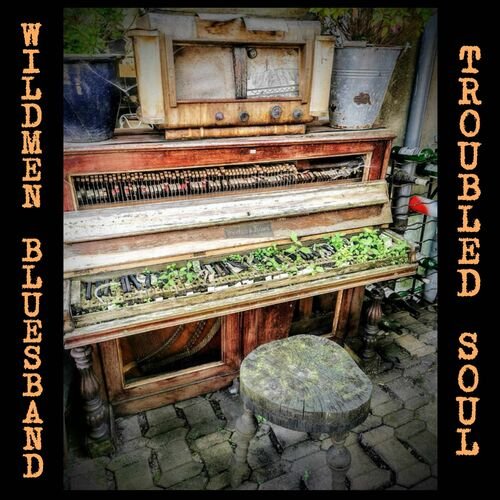 Wildmen Bluesband - Troubled Soul (2025)