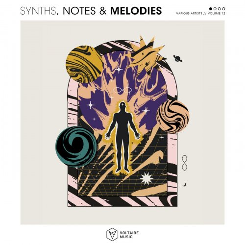 VA - Synths, Notes & Melodies Vol. 12 (2025)