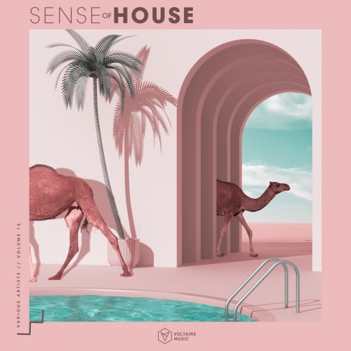 VA - Sense Of House Issue 15 (2025)