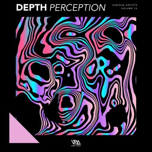 VA - Depth Perception Vol. 10 (2025)