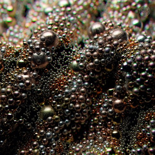 Shakti - Illud Tempus (2025)