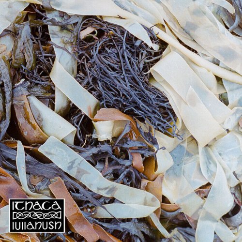 lullahush - Ithaca (2025)