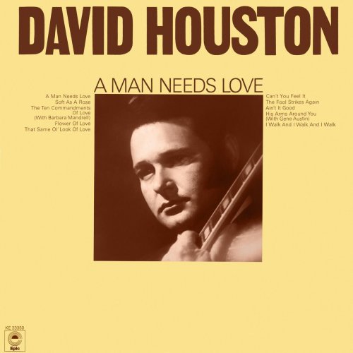 David Houston - A Man Needs Love (2025) [Hi-Res]