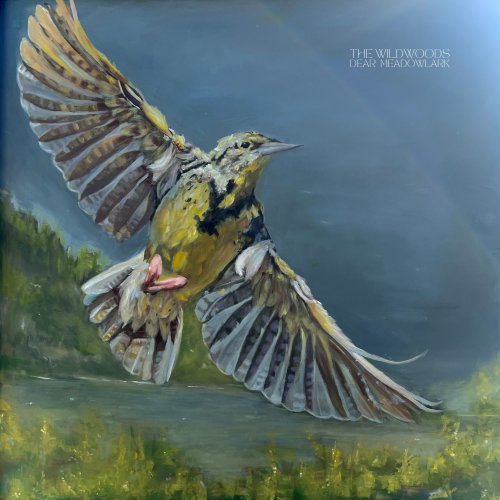The Wildwoods - Dear Meadowlark (2025)