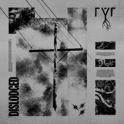 Rýr - Dislodged (2025) Hi-Res