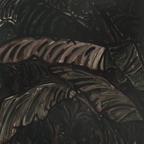 Acronym - Entagled in Vines (2025)