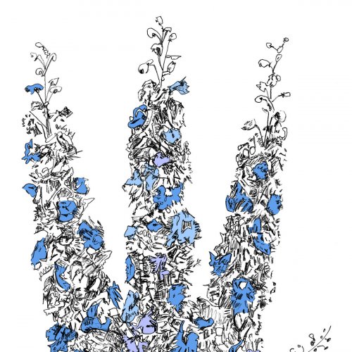 Davis Galvin - Music to Watch Seeds Grow By 002: Davis Galvin - Prism (Delphinium Elatum) (2025) [Hi-Res]