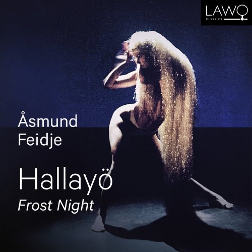 Asmund Feidje - Hallayö - Frost Night by Åsmund Feidje (2025)