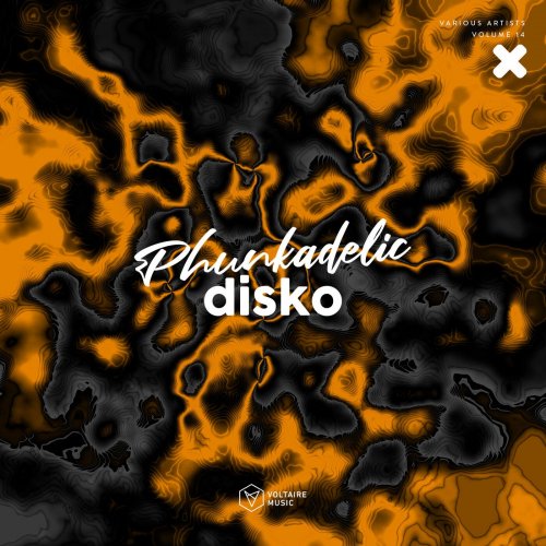VA - Phunkadelic Disko Vol. 14 (2025)