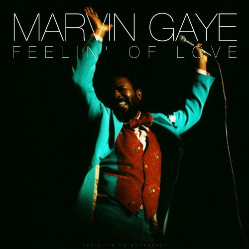 Marvin Gaye - Feelin' Of Love (Live 1976) (2023)