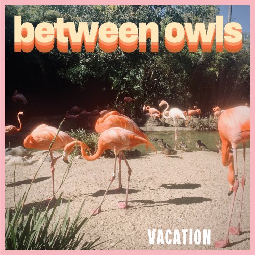 Between Owls - Vacation (2025) Hi Res