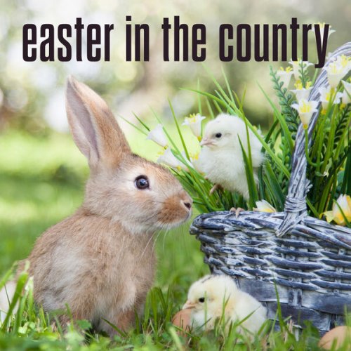 VA - easter in the country (2025)