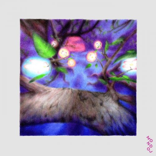 Ursula Sereghy - Cordial (2025)