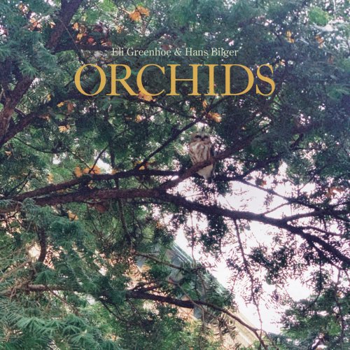 Eli Greenhoe, Hans Bilger - Orchids (2025) [Hi-Res]
