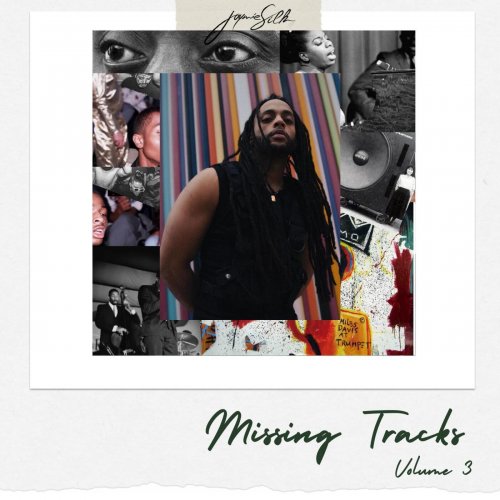Jaymie Silk - Missing Tracks, Vol. 3 (2025)
