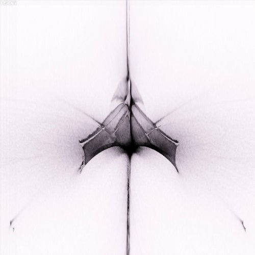 Dima Kachan - Reverie (2025)