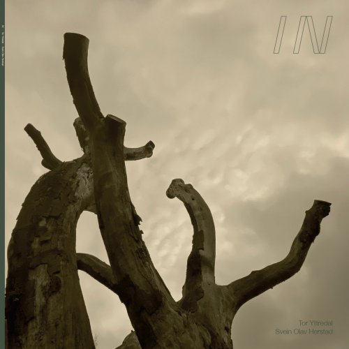 Tor Yttredal, Svein Olav Herstad - IN (2025) Hi Res