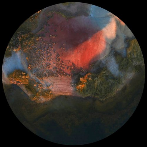 Root Regenerator - Root Regenerator 004 (2025)