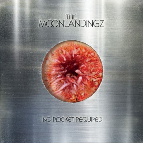 The Moonlandingz - No Rocket Required (2025) [Hi-Res]