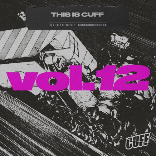VA - This Is CUFF Vol. 12 (2025)