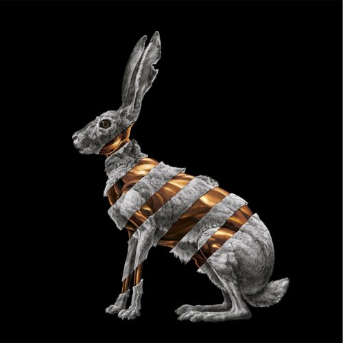 San Fermin - Jackrabbit (2015)