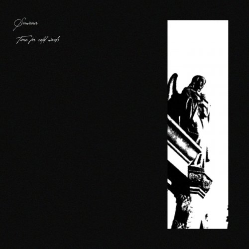 Souvenir - Time For Cold Words (2025)