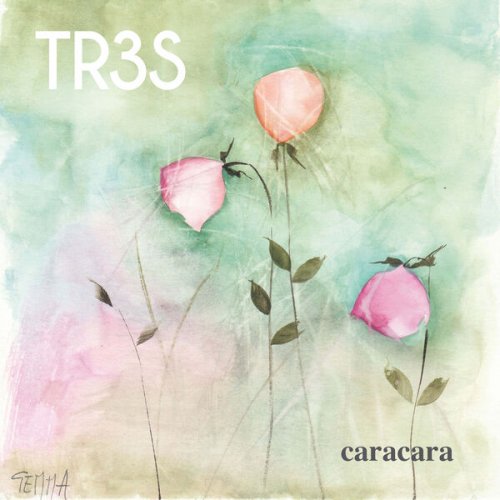 Caracara - Tres (2025) [Hi-Res]