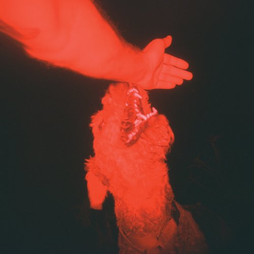 Eli Winter - A Trick of the Light (2025)