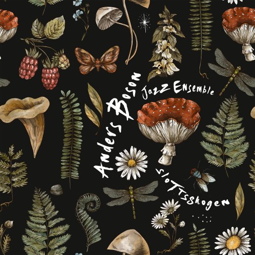 Anders Boson Jazz Ensemble - Slottsskogen (2025) [Hi-Res]