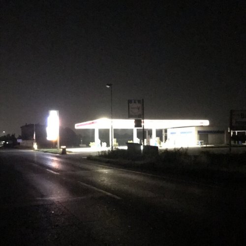 Rainy Miller - Joseph, What Have You Done? (2025) [Hi-Res]