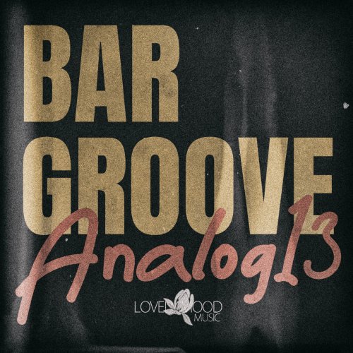 VA - Bar Groove Analog 13 (2025)