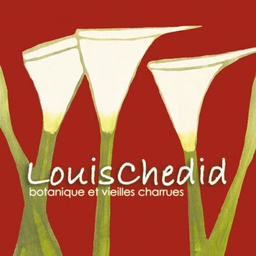 Louis Chedid - Botanique et vieilles charrues (Live) (2003)