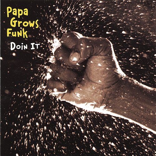 Papa Grows Funk - Doin' It (2001)
