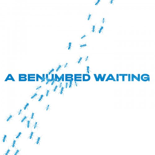 VA - A Benumbed Waiting (2025)