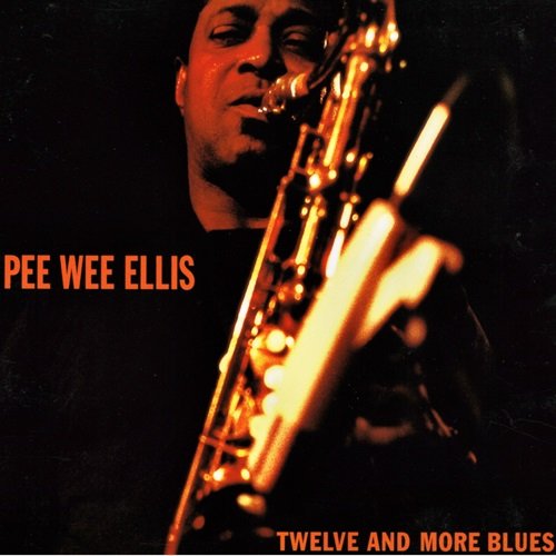 Pee Wee Ellis - Twelve and More Blues (1993)