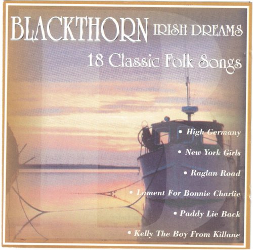 Blackthorn - Irish Dreams (2002)