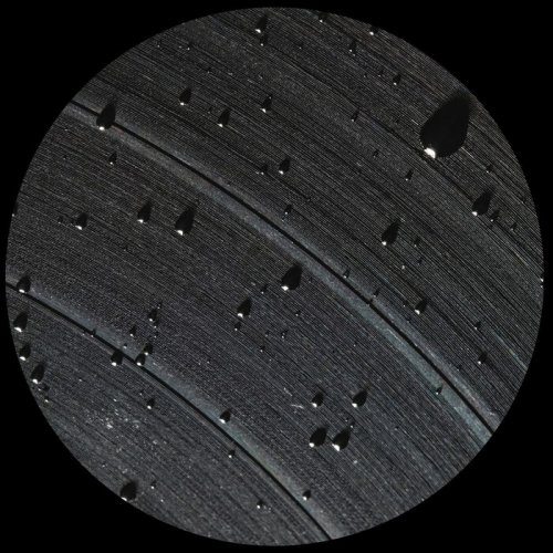 Jonas Kopp - Black System (2025)