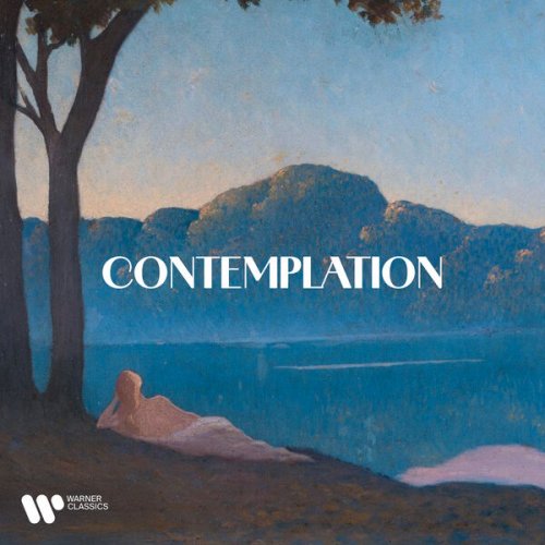 VA - Contemplation (2025)