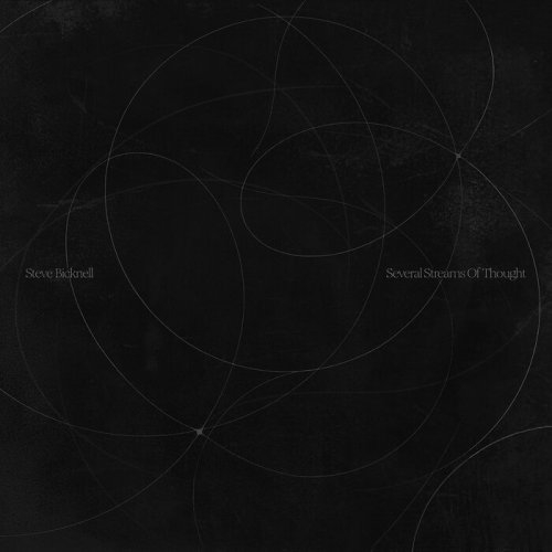 Steve Bicknell - Several Streams of Thought (LP) (2025)