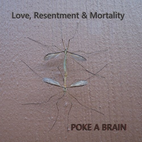 Poke A Brain - Love, Resentment & Mortality (2025) [Hi-Res]