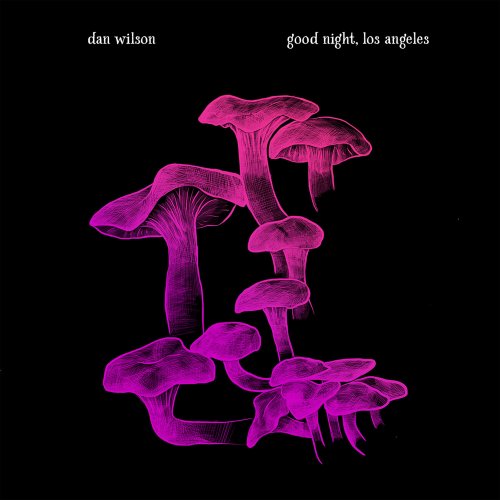 Dan Wilson - good night, los angeles (2025) [Hi-Res]