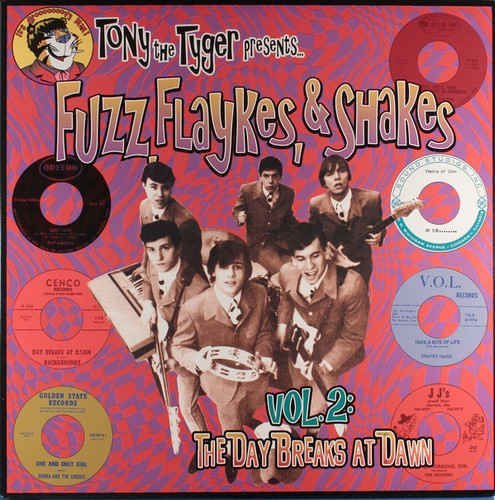 VA - Fuzz, Flaykes, & Shakes - Collection (1999-2002)