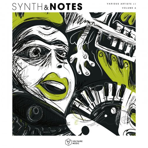 VA - Synths & Notes Vol. 6 (2025)