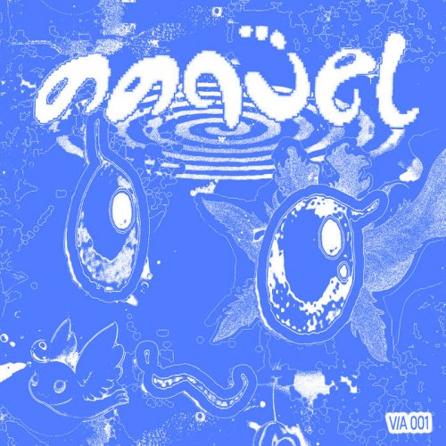 VA - aanjel 001 V/A (2025)