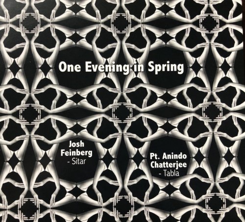 Josh Feinberg, Anindo Chatterjee - One Evening in Spring (2014)